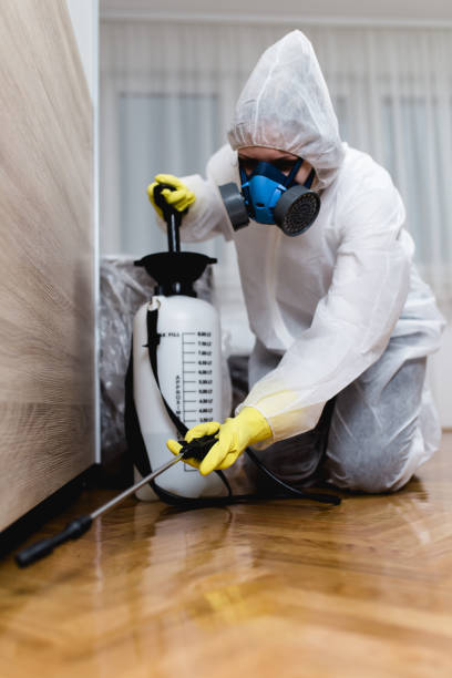 Best Bed Bug Extermination  in Conover, NC